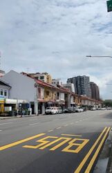 Geylang Conservation Area (D14), Shop House #579255281